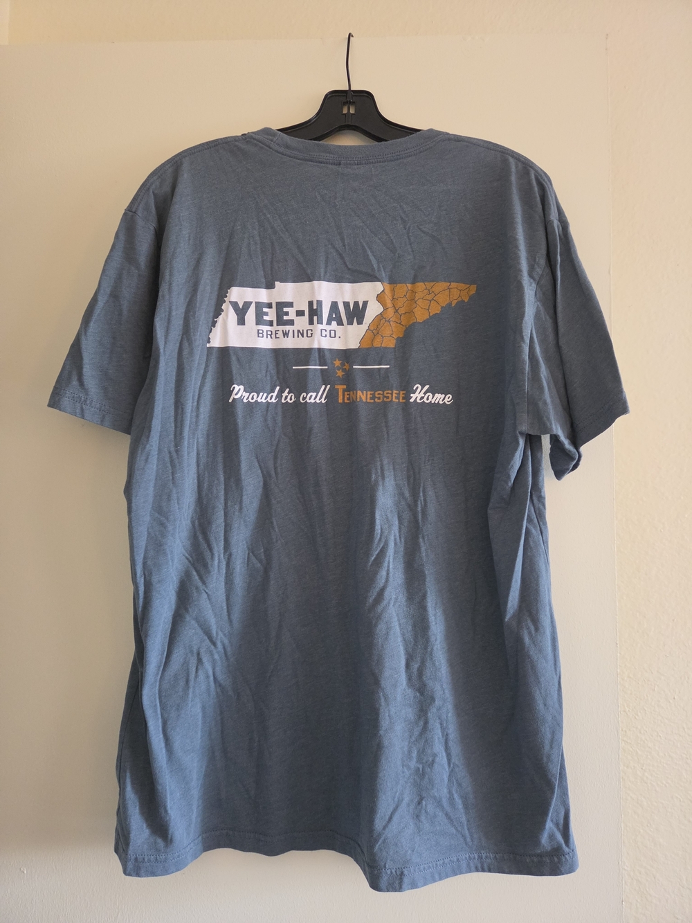 Short Sleeve Graphic Tee in Blue
